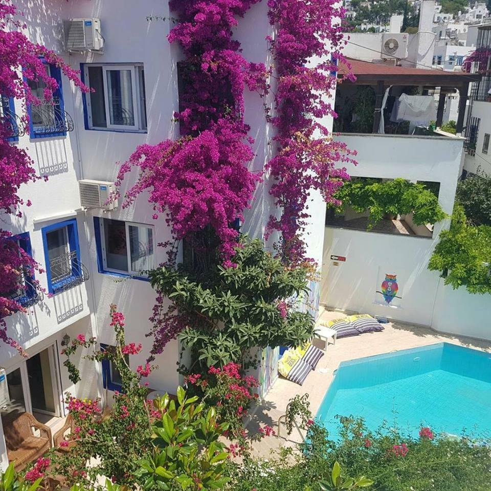 Eskici Hostel Bodrum Kültér fotó